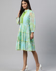 Floral Printed Chiffon Fit & Flare Midi Dress