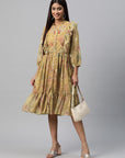 Floral Printed Fit & Flare Chiffon Knee-Length Dress